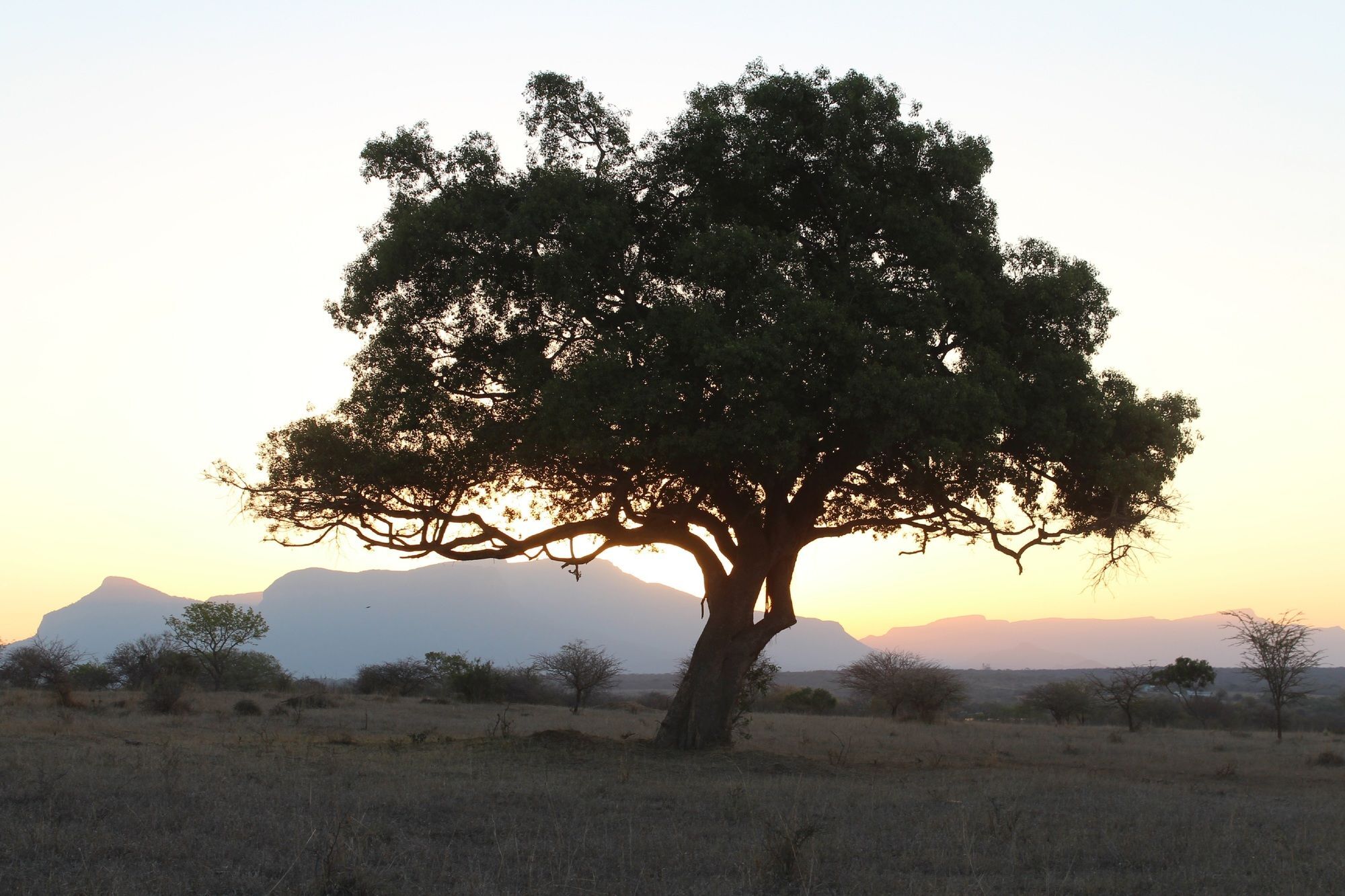 Thornhill Safari Lodge Hoedspruit Dış mekan fotoğraf